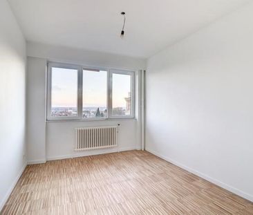 Avenue Minerve, 1190, Forest - Photo 2