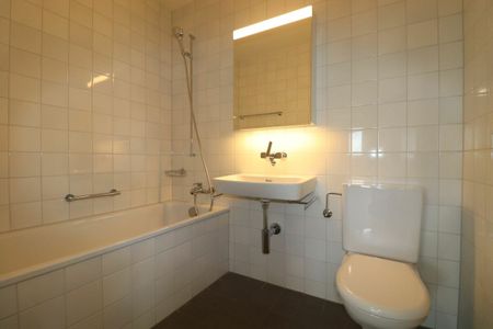 Am Lindenplatz - renovierte 2.5-Zimmer-Wohnung mit Weitblick zu vermieten - Photo 3