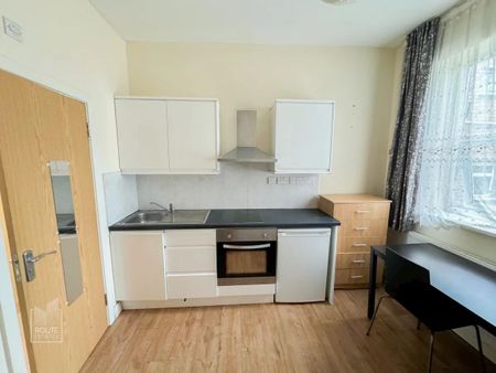 Studio Flat, Turnpike Lane, N8 - Photo 3