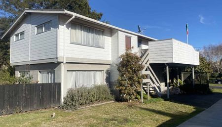 Spacious four bedroom lock wood home - Photo 5