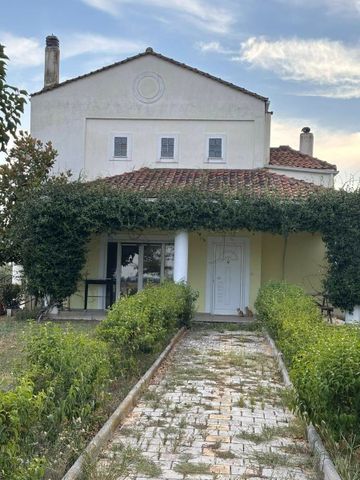 Μονοκατοικία για ενοικίαση Κέντρο (Νίκαια) - Photo 4