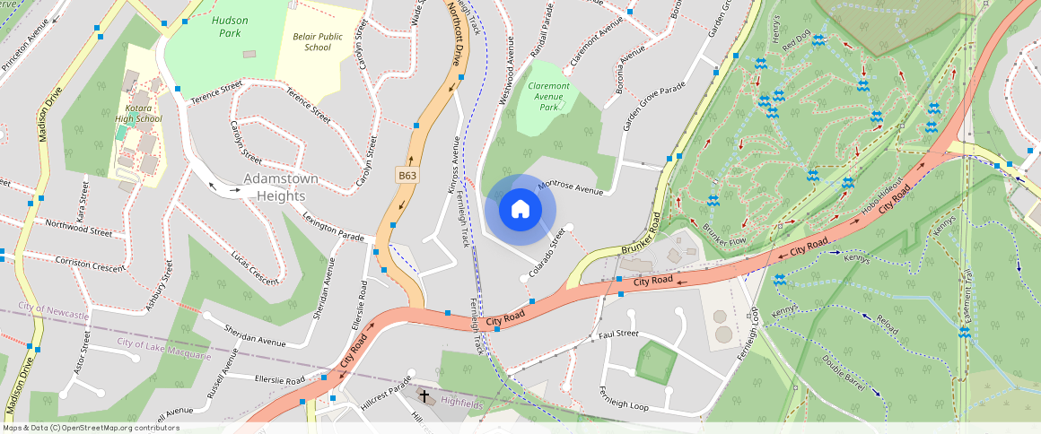 ** Montrose Avenue, NSW 2289, Adamstown Heights