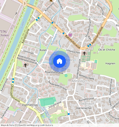 Rosenhofstr, 47, 8753 Mollis
