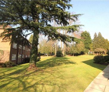 Christchurch Road, Virginia Water, Surrey, GU25 4AG - Photo 4