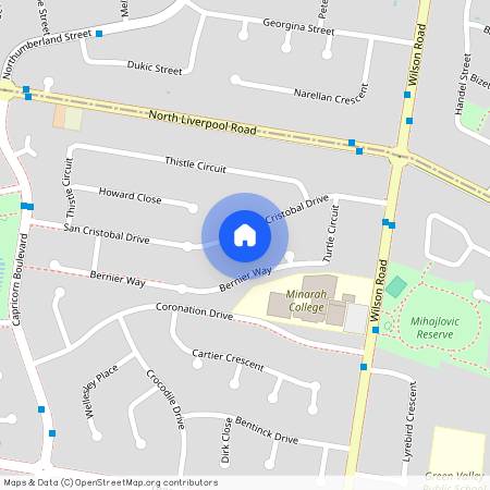 41 San Cristobal Drive, NSW 2168, Green Valley