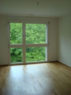 moderne und ruhige 2,5-Zimmerwohnung in Laufen - Photo 1