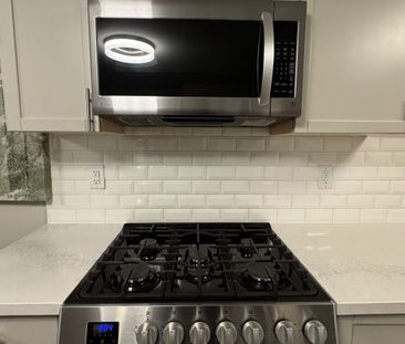 For Lease - 78 Lexington Avenue Unit# Lower, Toronto, Ontario - Photo 4