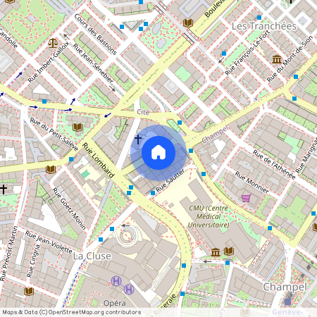 1205, Genf, Rue Emile- Yung, 5
