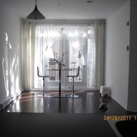 CONDO 3 1/2 MEUBLÉ - VIEUX-PORT - VILLE-MARIE - JACQUES CARTIER - Photo 4