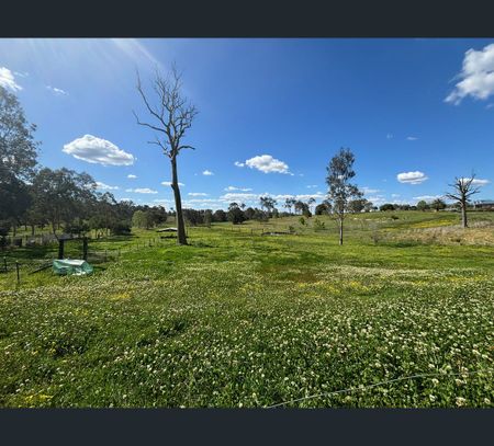 11B Sophia Jane Drive, Nelsons Plains, NSW 2324 - Photo 5