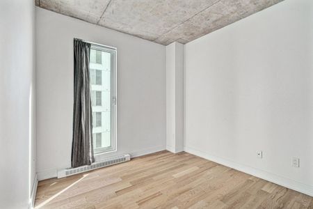 Appartement à louer - Montréal (Ville-Marie) (Centre Ouest) - Photo 2