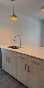 Grand 4-1/2 disponible maintenant - Photo 3