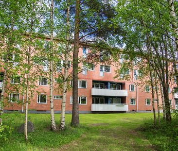 Ankarskatavägen 81 B, 94134, Piteå - Photo 1