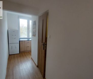 Mysłowice, Wielka Skotnica - Zdjęcie 5