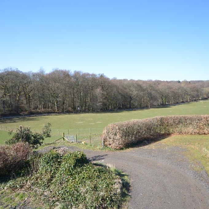 4 bedroom detached house to rent - Photo 1