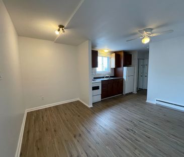 For Lease - 296 St Patrick Street Unit# 3, Lower Town - Sandy Hill,... - Photo 3