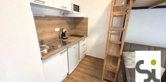 Location Appartement 1 pièce 23m² GRENOBLE 38000 - Photo 2