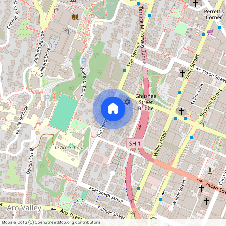 321A The Terrace, Wellington, Te Aro