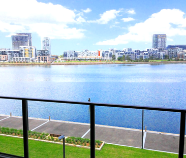 308/21 Verona Drive, Wentworth Point NSW 2127 - Apartment For Rent ... - Photo 5