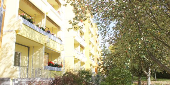 Blick ins Grüne - Foto 3