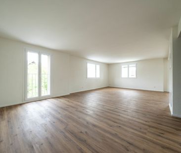 3.5 Zimmer, EG - Photo 2