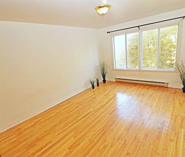 3509 Rue Soubirous - Photo 1