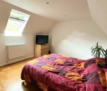 Location - Maisons - KATZENTHAL - 68230 - Photo 4