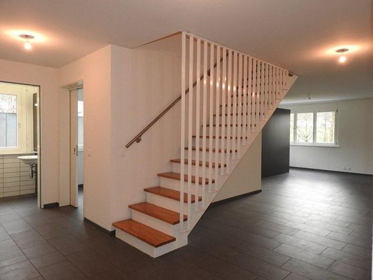 Grosszügige Maisonettewohnung an naturnaher Lage - Foto 1