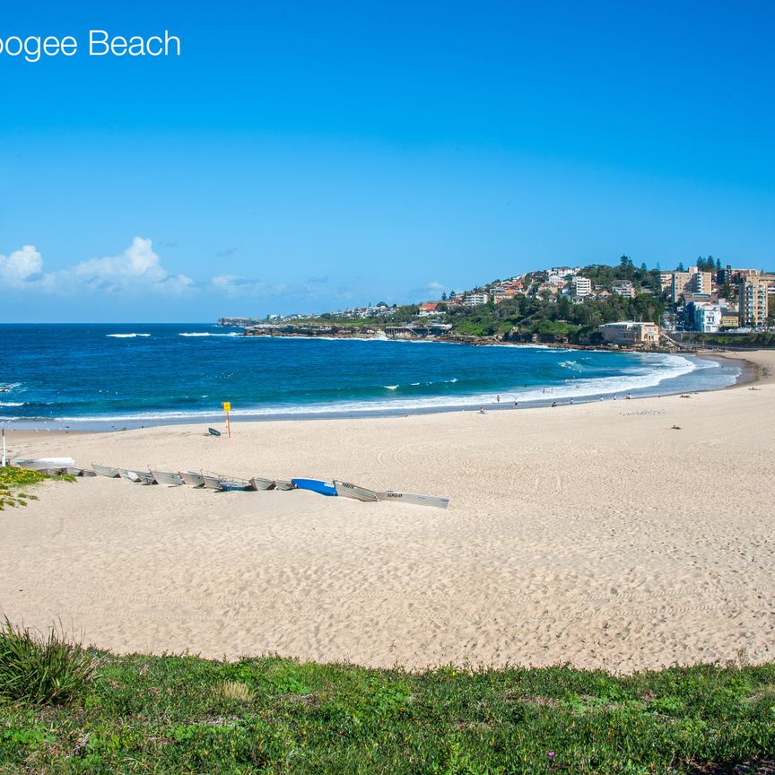 Room 3/11 Perouse Road, Randwick NSW 2031 - Studio For Rent | Domain - Photo 1