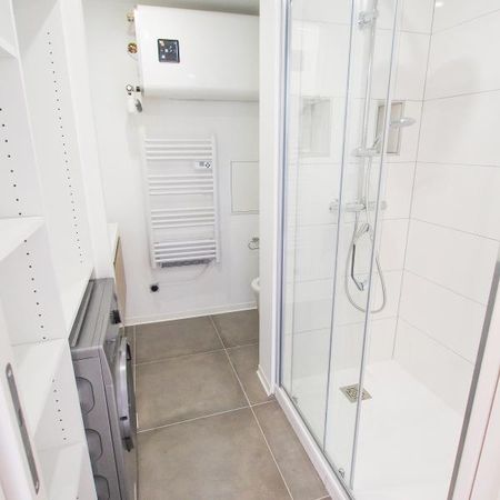 Location Appartement 1 pièce 24m² NANCY 54000 - Photo 3