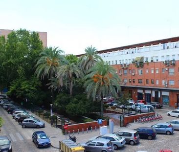 Plaza del Zurraque, Sevilla, Andalusia 41010 - Photo 4