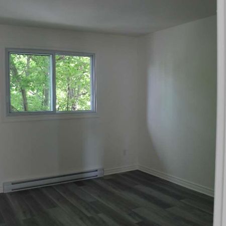 Appartement à louer 4 et demi - Vieux Longueuil - Photo 3