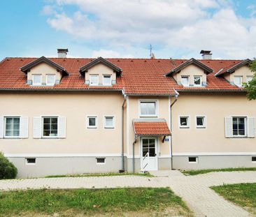2- und 3-Zimmerwohnungen in Neustift-Innermanzing - Foto 2