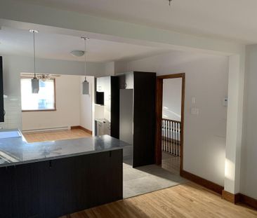 4 1/2 Avec Cours Arrière Et Cabanon - Photo 2
