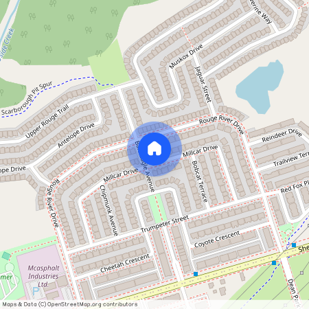 74 Millcar Drive Unit# Bsmnt, Toronto