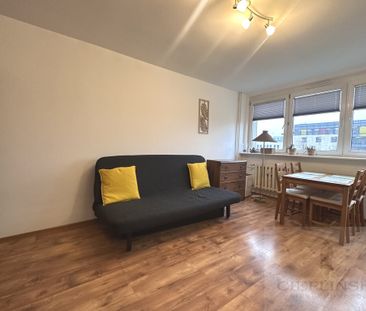 Kawalerka w centrum miasta vis-a-vis Kaskady - Photo 3