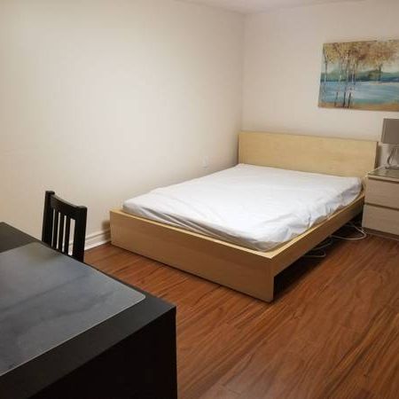 NEWLY RENOVATED BASEMENT APT AVAIL NOW TO YOUNG PROFESSIONAL - Photo 4