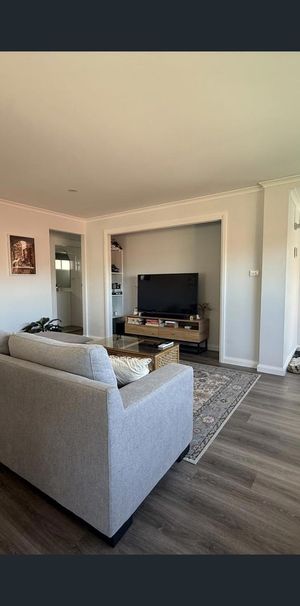 23 Griffiths Street, Charlestown, NSW 2290 - Photo 1