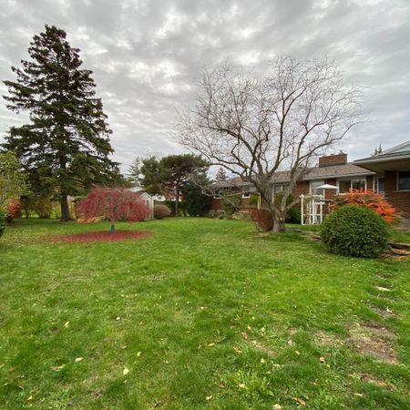 For Lease - 232 McNeilly Road, Hamilton, Ontario - Photo 3