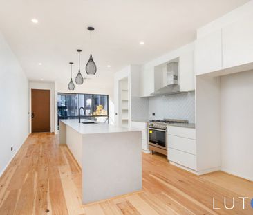 7 Cygnet Crescent, Red Hill ACT 2603 - House For Rent | Domain - Photo 6