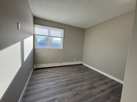 Amazing 3 Bedroom Top Floor Apartment!! - Photo 5