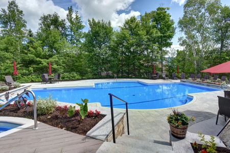 Condo for rent, Mont-Tremblant - Photo 5