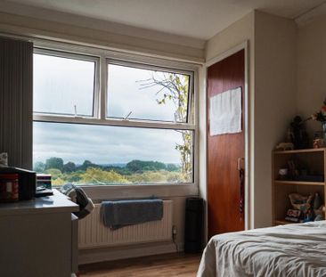 2 bedroom house to rent - Photo 4