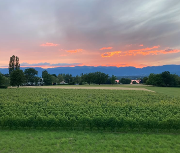 Modern 5-room apartment - Photo 4