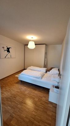 2.5-Zimmer-Wohnung am Erholungsgebiet Stadtoase zu vermieten - Foto 1