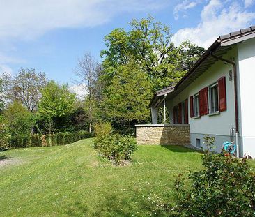 Maison à louer, Chemin Edouard-Sarasin, à Le Grand-Saconnex, Suisse - Foto 1