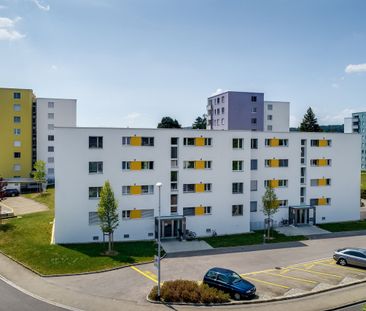 3-Zimmerwohnung in Oberentfelden - Photo 4