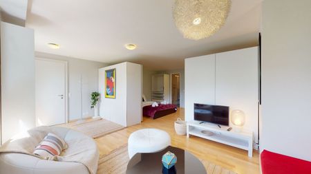 Geräumiges Studio in einer ruhigen Nachbarschaft in Sierre - Verfügbar zwischen 3 und 6 Monaten - Foto 3
