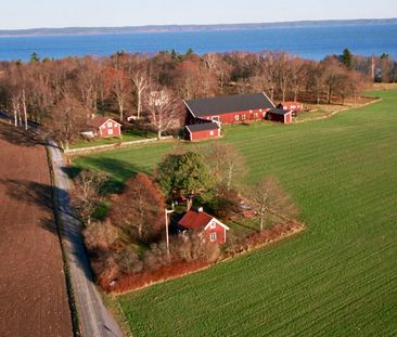 Tallen, Sätuna Pilgård, Linköping - Photo 3