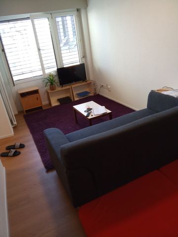 11/2 ROOM APARTMENT IN LUCERNE, FURNISHED, TEMPORARY - Foto 2